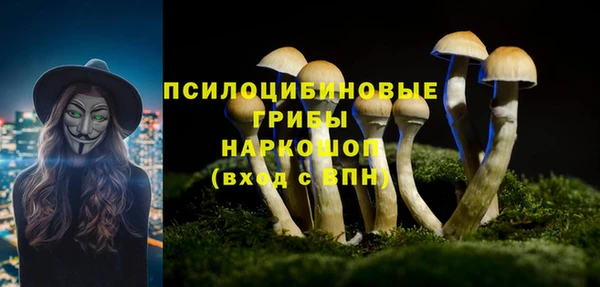 амф Мегион