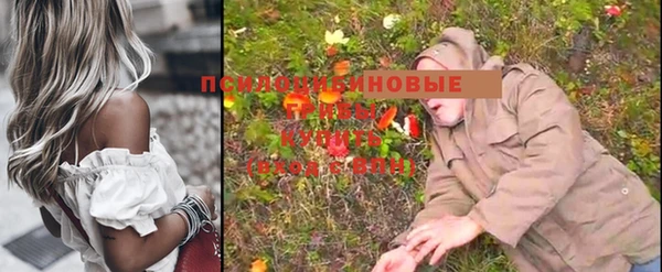 PSILOCYBIN Михайловка