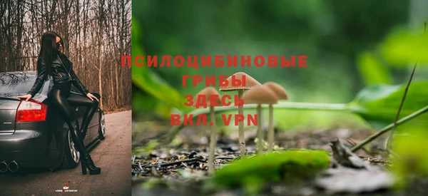 гидра Валдай
