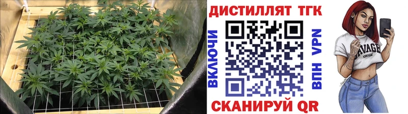 Купить  Дегтярск  Дистиллят ТГК THC oil 